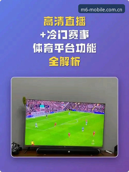 M6体育平台安卓版深度评测：操作流畅度与赛事体验的全面解析